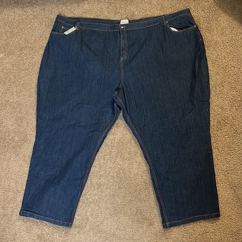 Venezia Dark Rinse Jeans Plus Size 44W (6X)